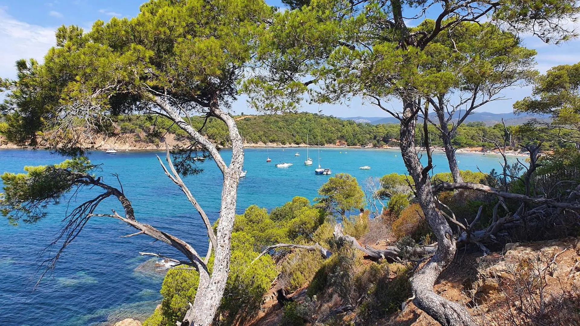 Chalet Melrose - Camping Parc Valrose La Londe-les-Maures